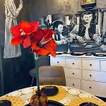 Elite Апартаменты *
